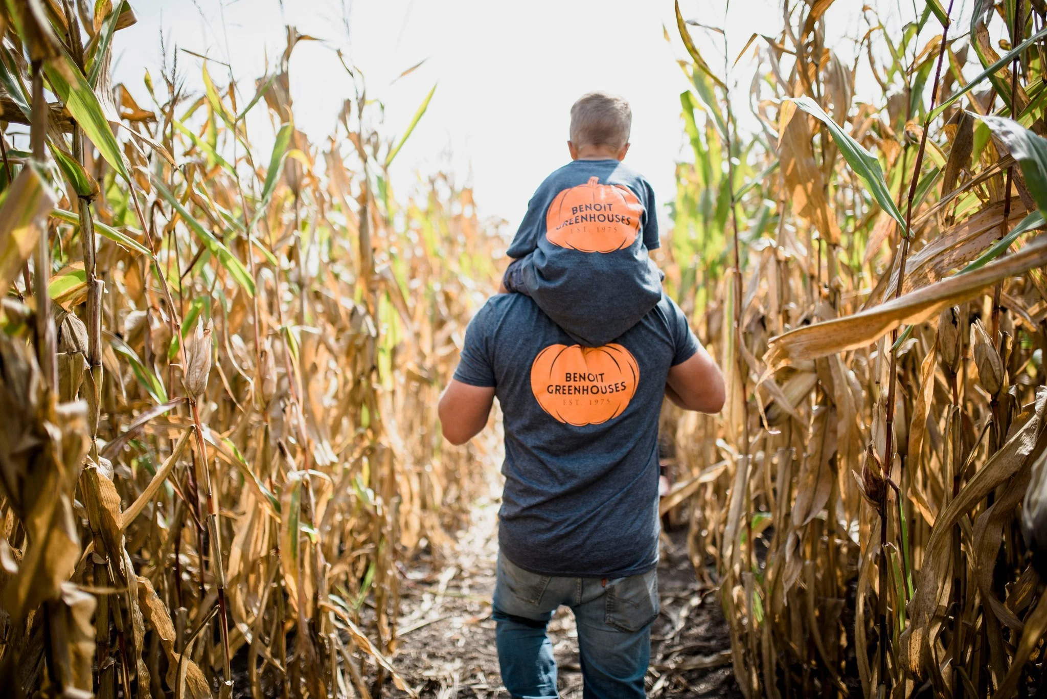 cornmaze.jpg