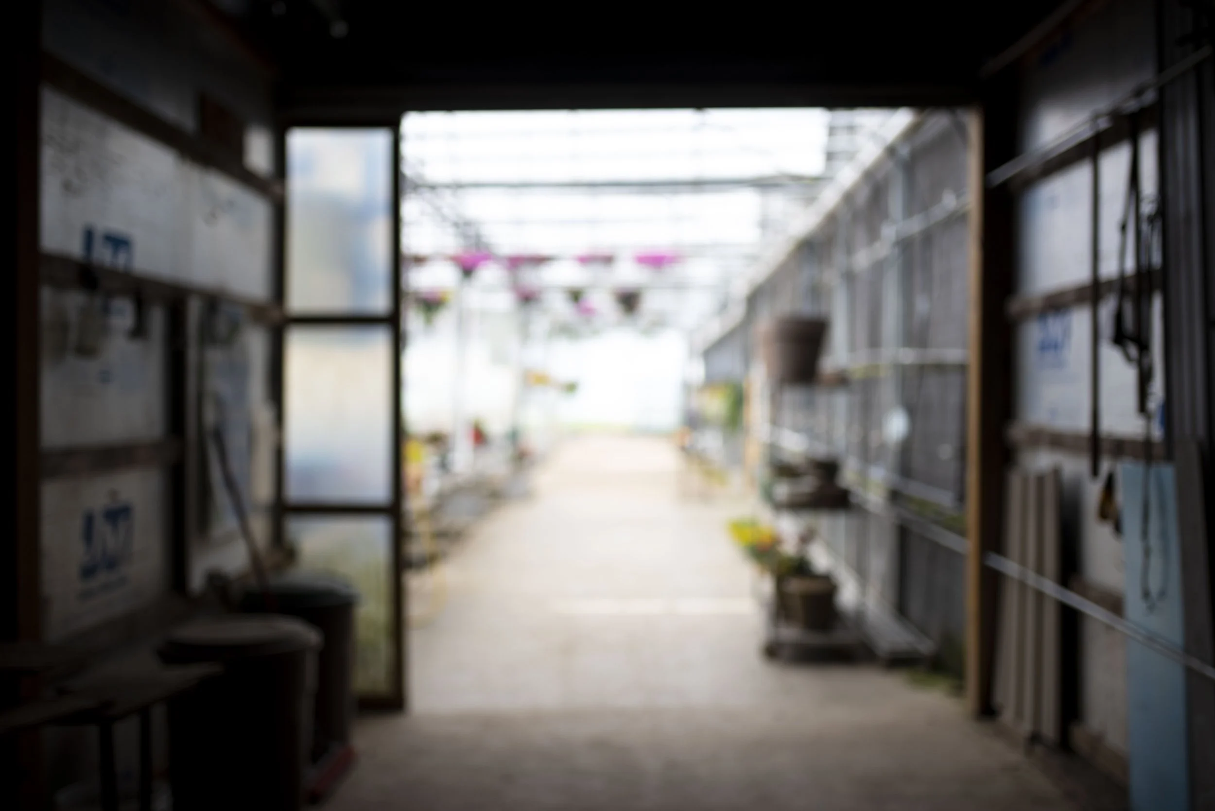 SPRING_DETOUR — Benoit Greenhouses