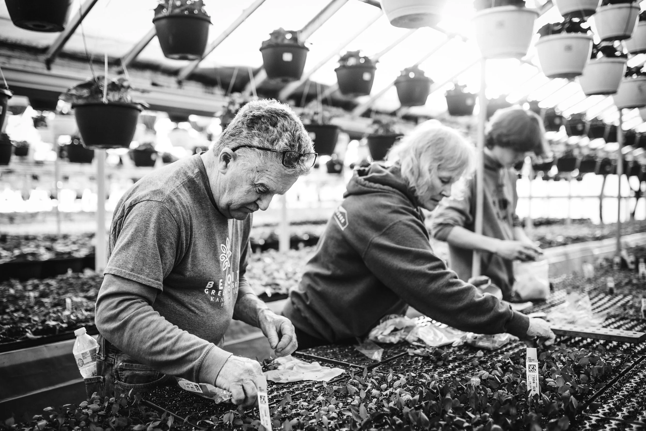 SPRING_DETOUR — Benoit Greenhouses