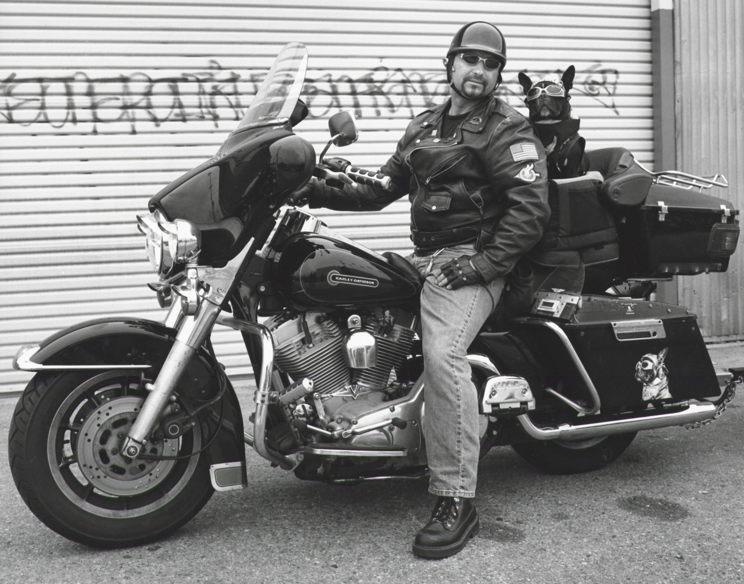Harley Rider With Dog - Glendale CA 2002