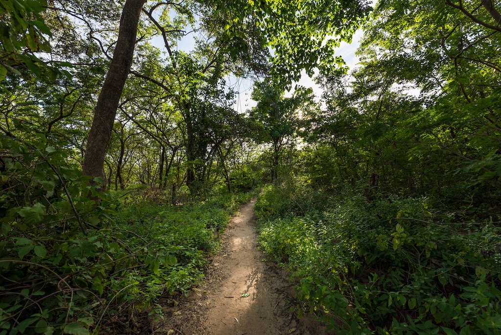 path-to-the-beach-1.jpg