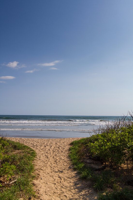 path-to-the-beach.jpg
