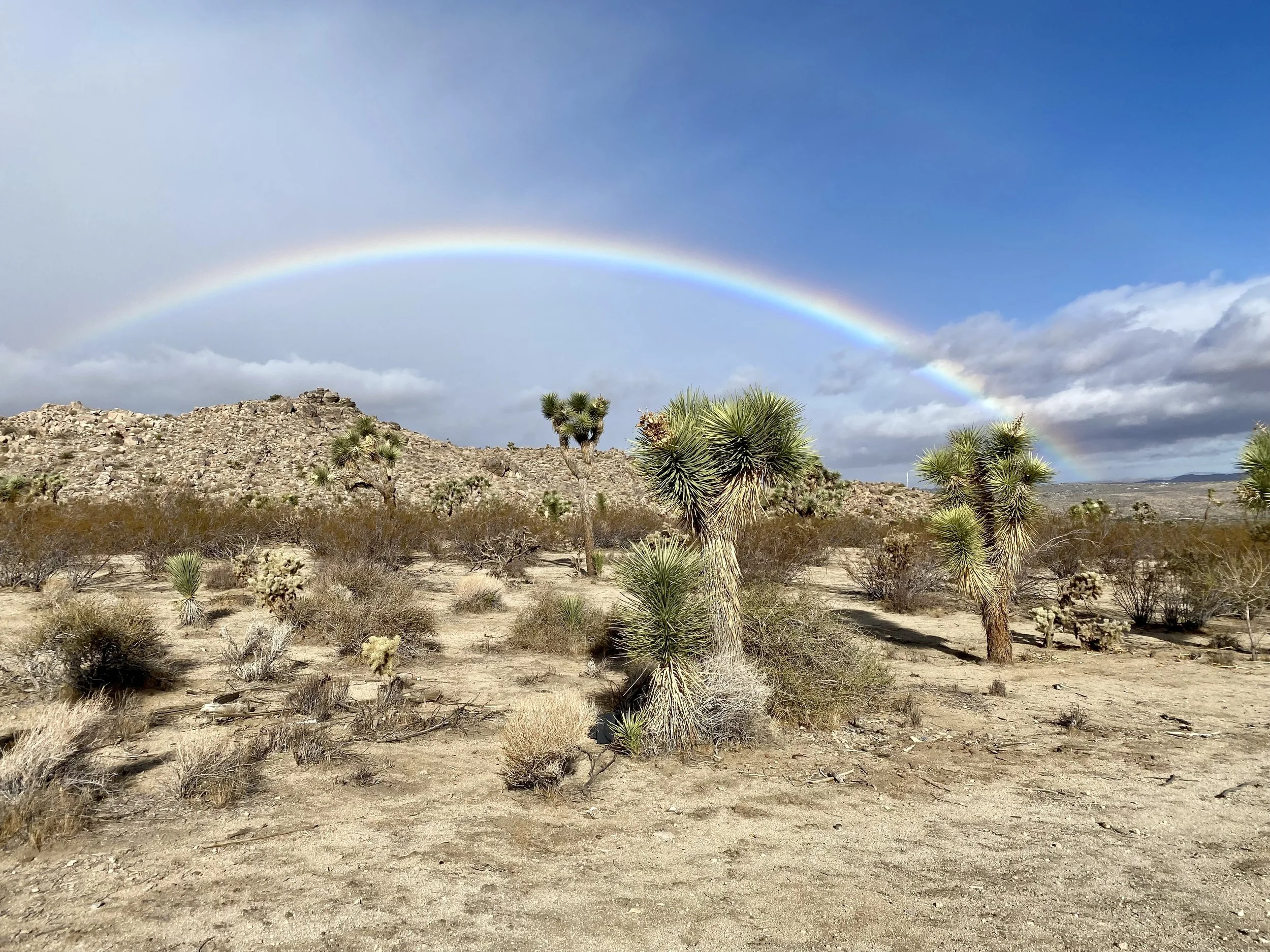 Free Yourself, Joshua Tree, CA