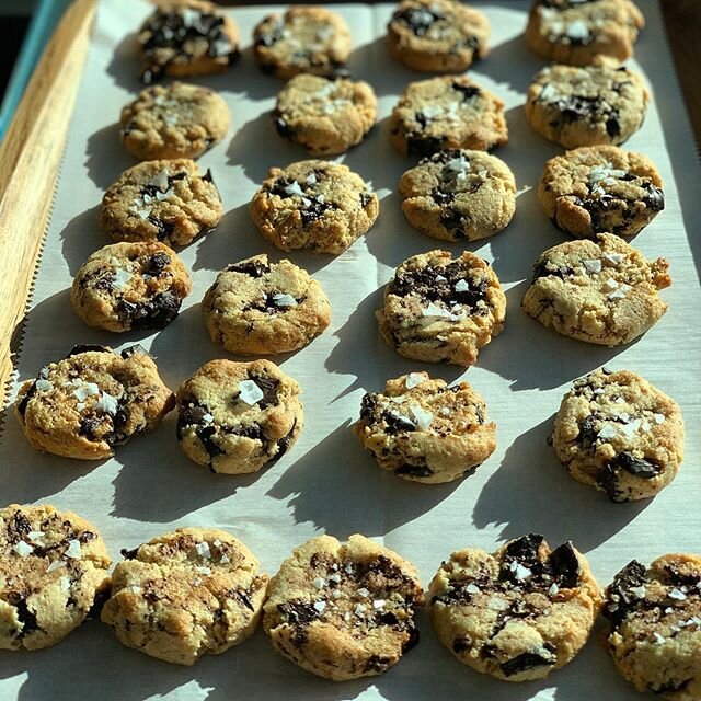 Gluten Free Paleo Chocolate Chip Cookies 🍪 
These cookies are refined sugar free, dairy free, and grain free!

Basically you can eat these without sacrificing your health goals and without having a tummy ache. Eating clean can include dessert 🥳🤘🏻