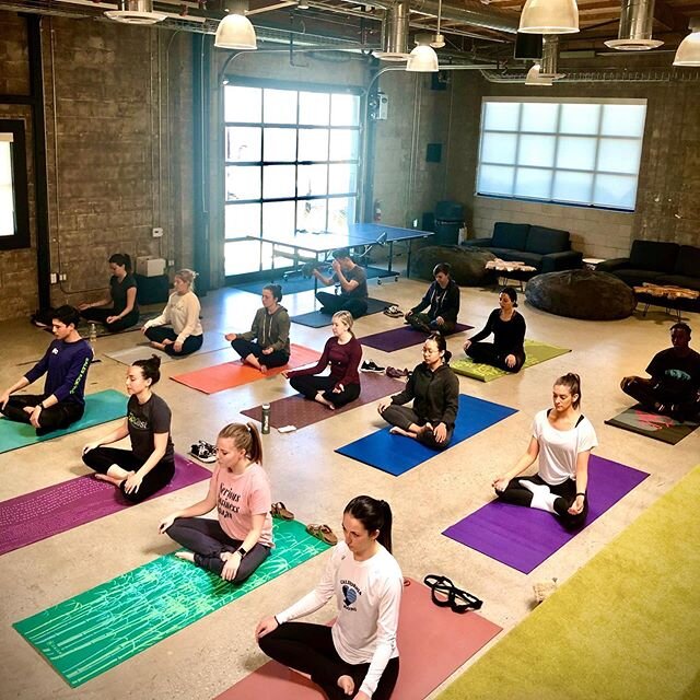 Thank you @floqast for having me back to teach your wonderful employees!

It is awesome that you value and prioritize wellness initiatives for your staff. Yoga has been shown to significantly increase focus and productivity through reducing stress an