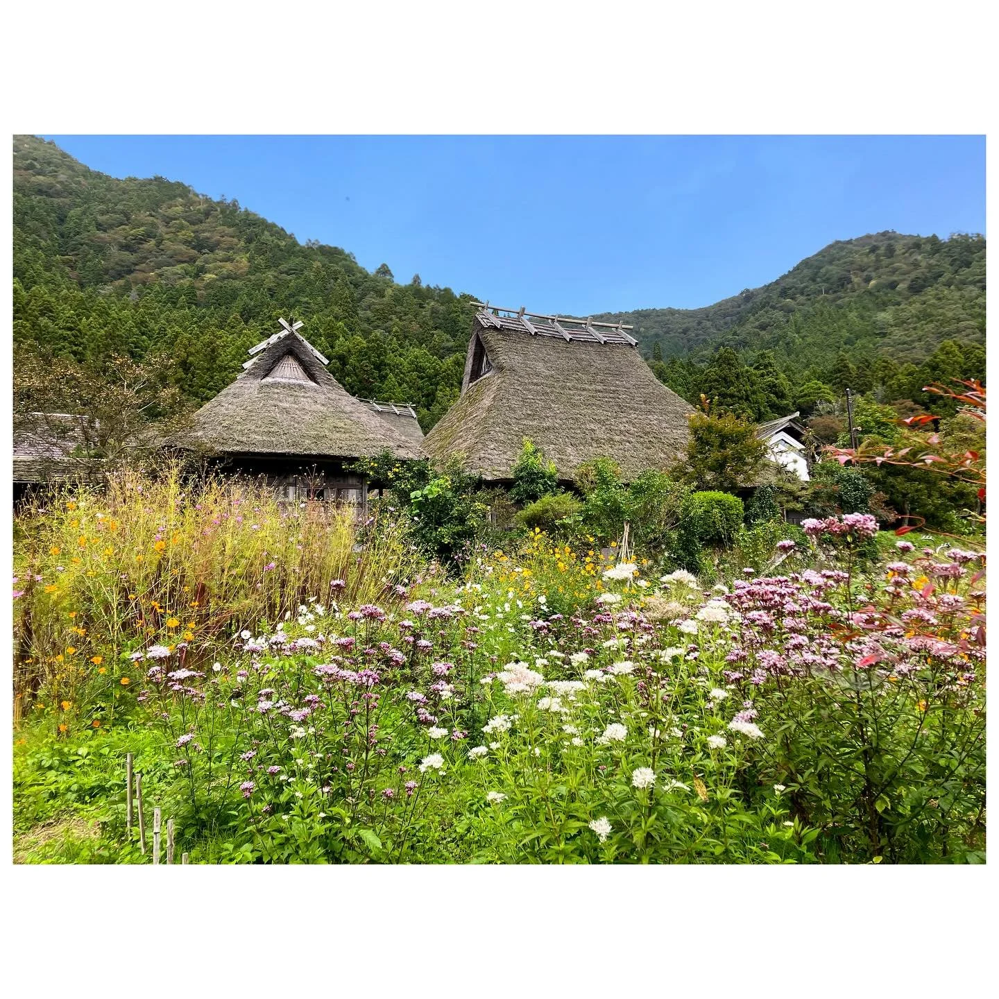 This is Kyoto, but not as you know it!
⠀⠀⠀⠀⠀⠀⠀⠀⠀ 
Kyoto Prefecture is a little-visited rural region, where the contrast with Kyoto&rsquo;s urban landscape and over-tourism could not be more stark. Yet, it is here that much of the foods and crafts the