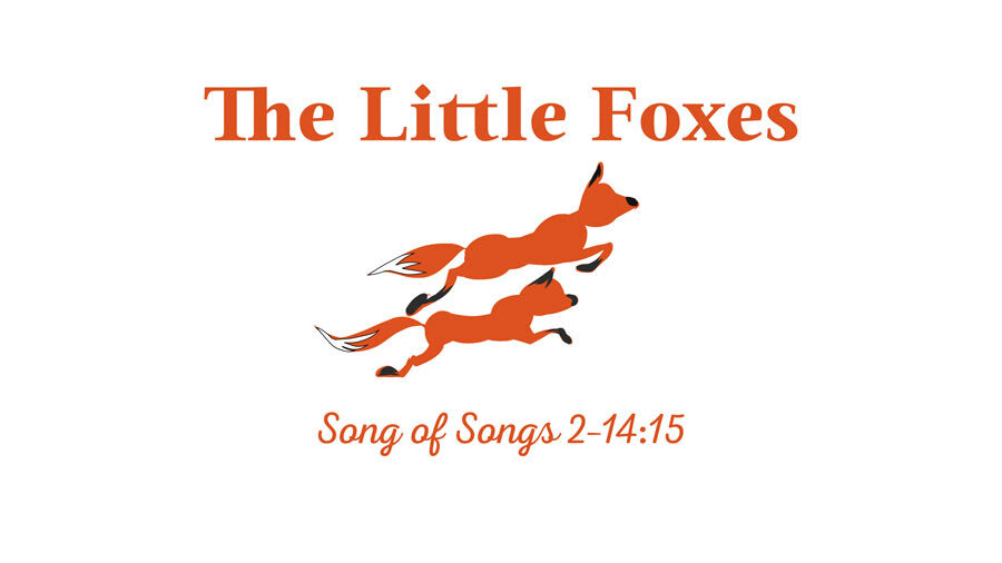 The Little Foxes (Marriage Class)