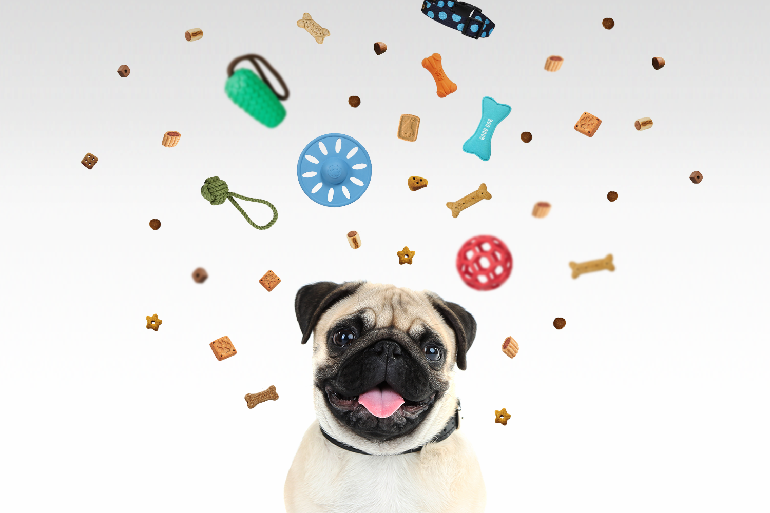 Amazon_wag_1.png