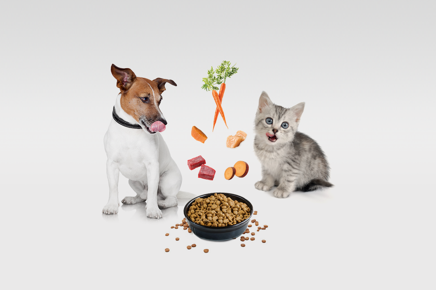 Amazon_wag_2.png