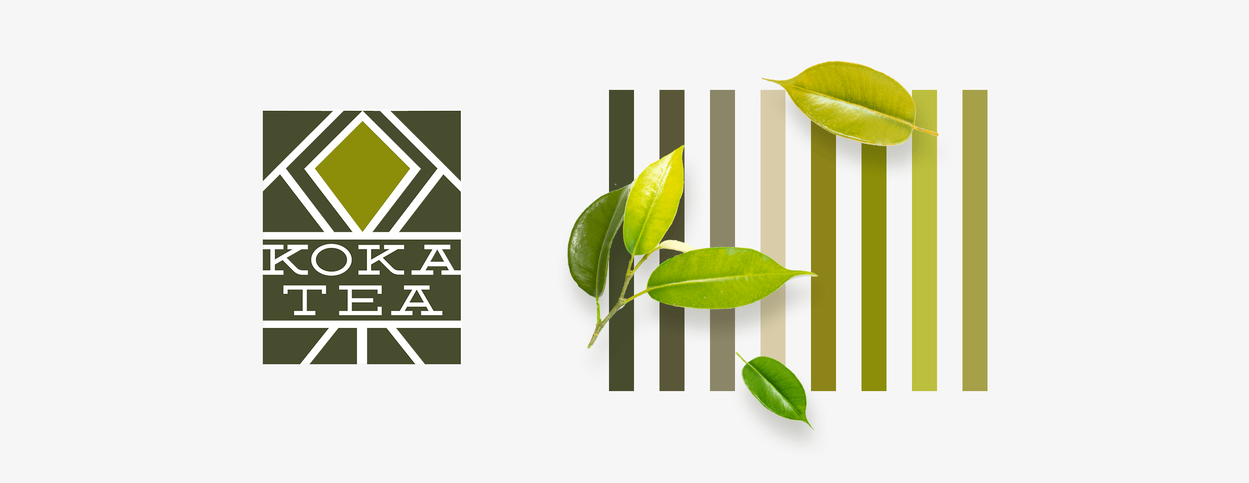 Logo and Brand development