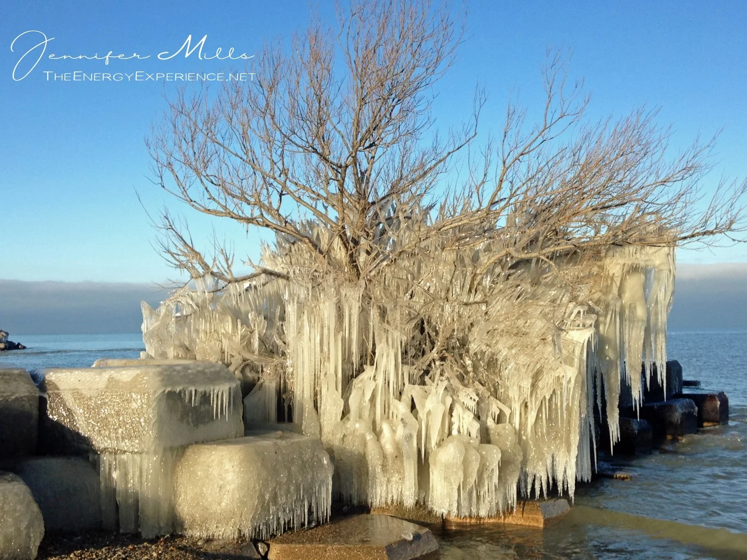 Dreaming, Resilience, and Gratitude