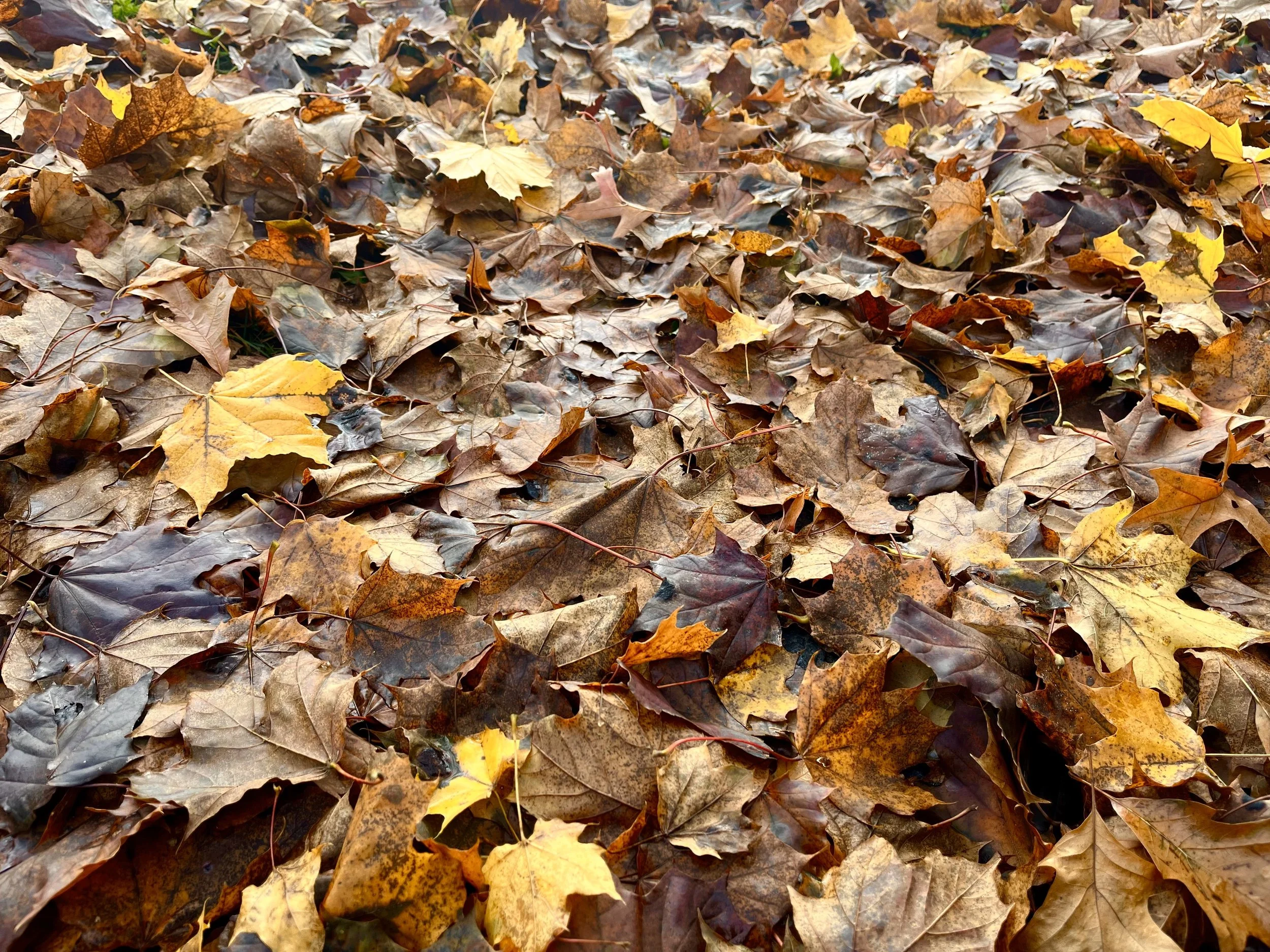 Crossroads of Change