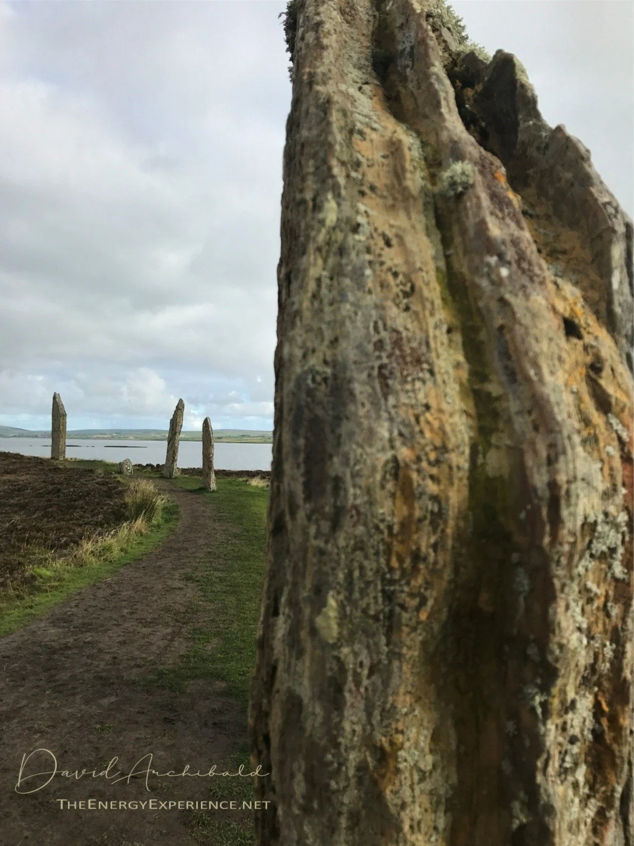 The Tao Te Ching - Verse 5