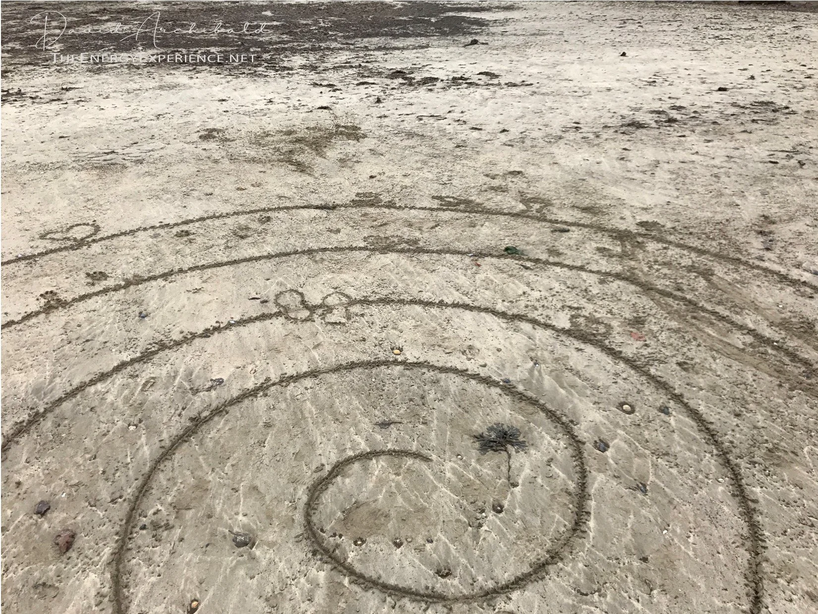 The Tao Te Ching - Verse 29