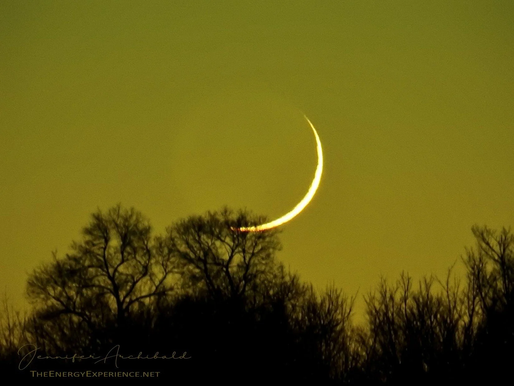 The Tao Te Ching - Verse 44