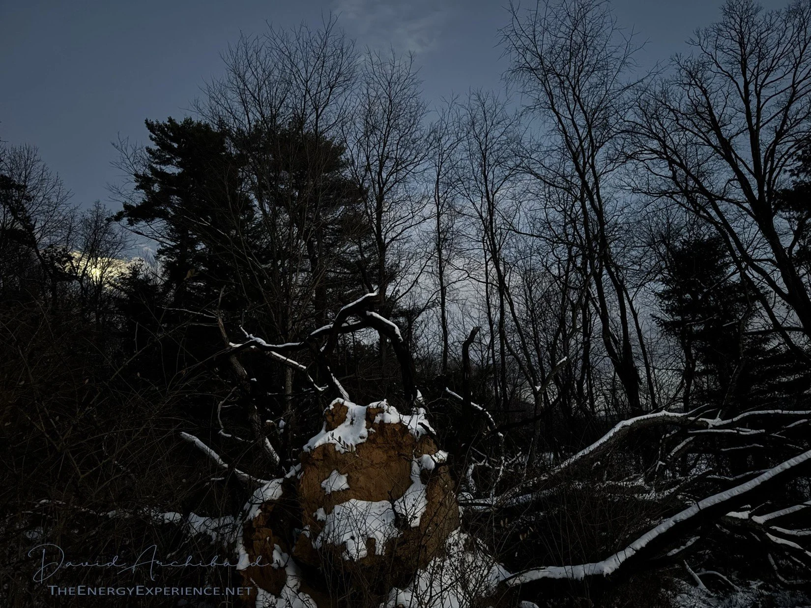 The Tao Te Ching - Verse 45