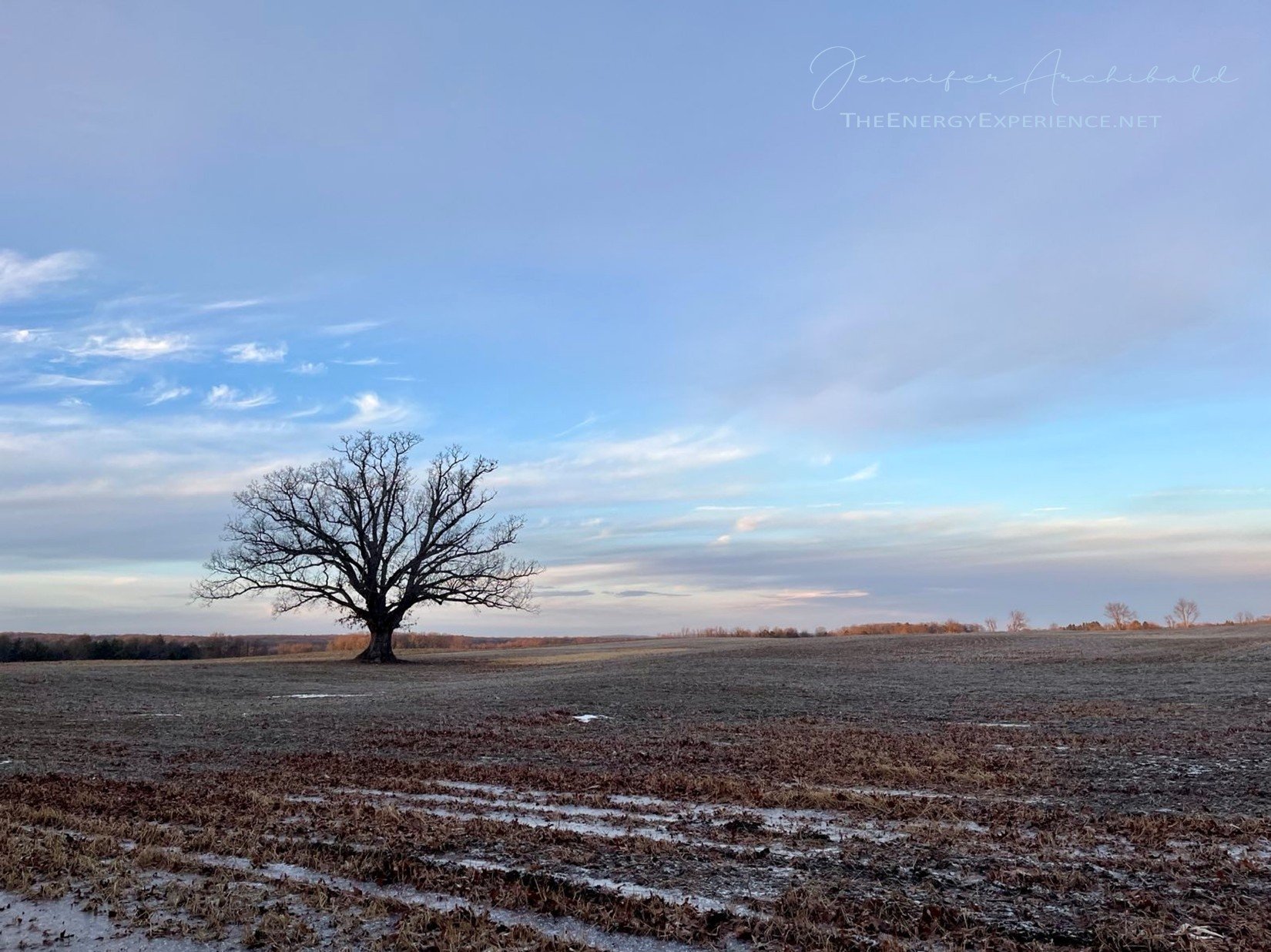 The Tao Te Ching - Verse 46