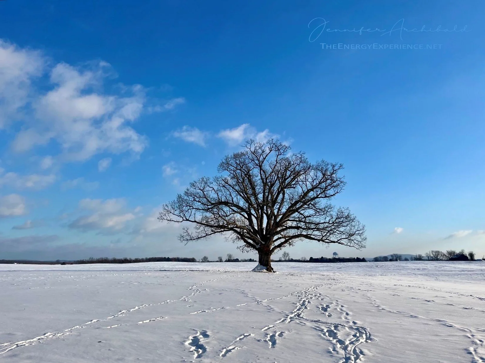 The Tao Te Ching - Verse 50