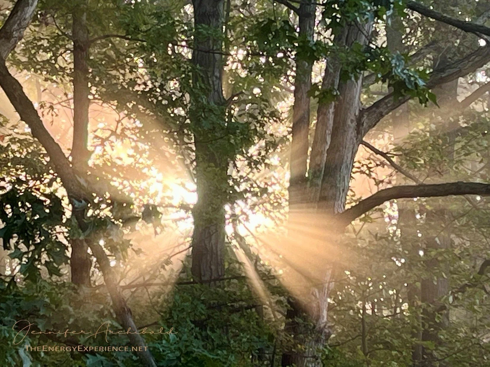 The Tao Te Ching - Verse 52