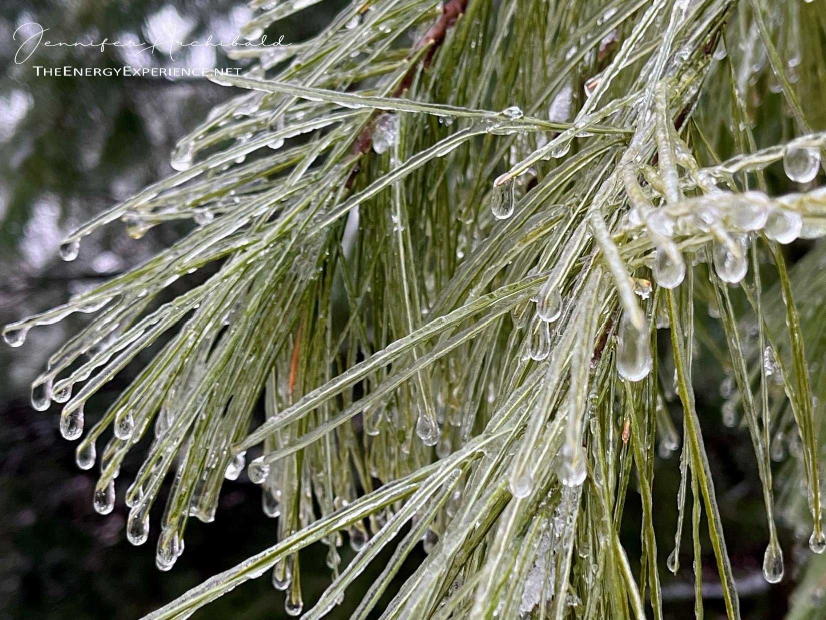 The Tao Te Ching - Verse 58