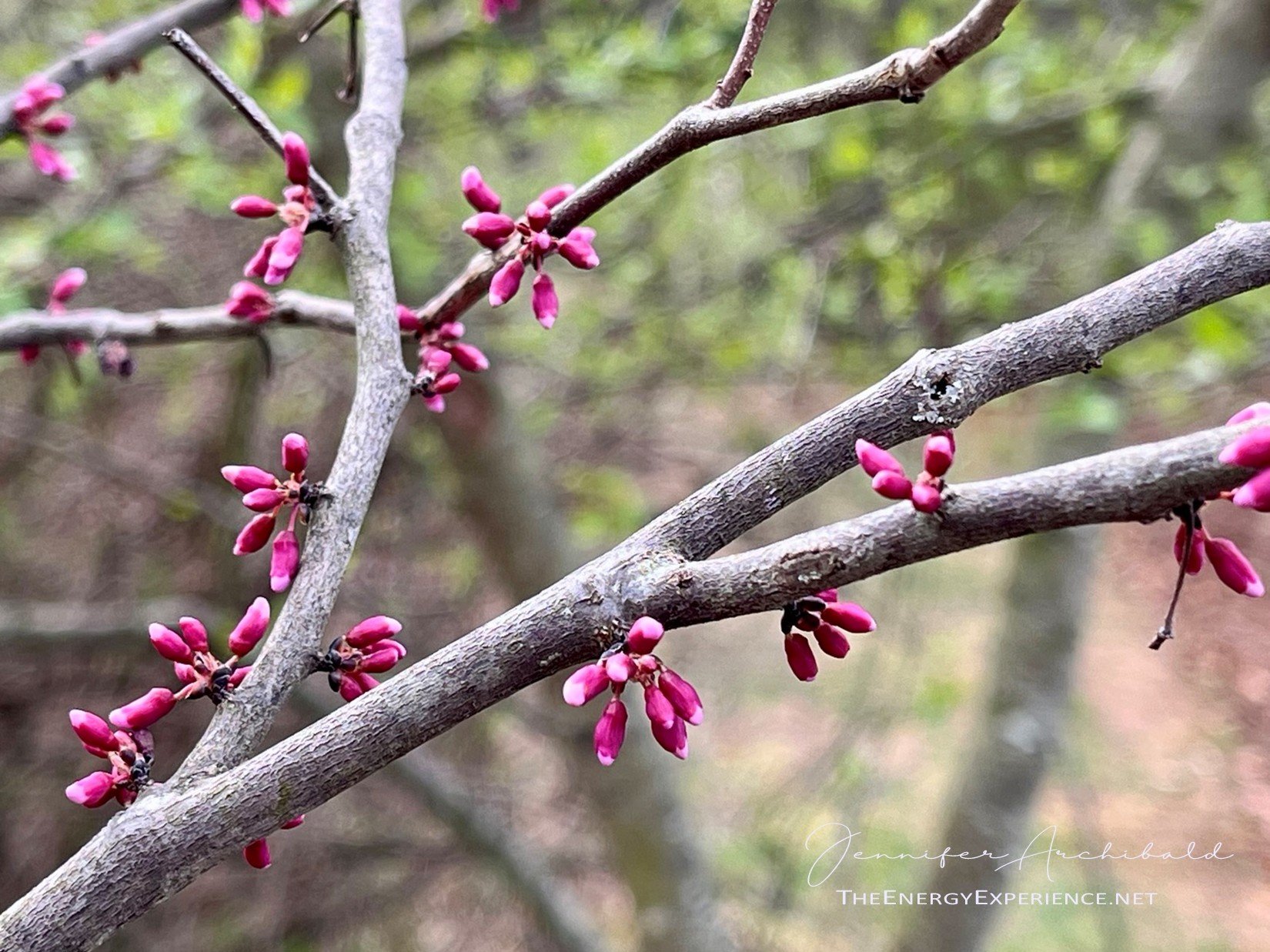 The Tao Te Ching - Verse 60