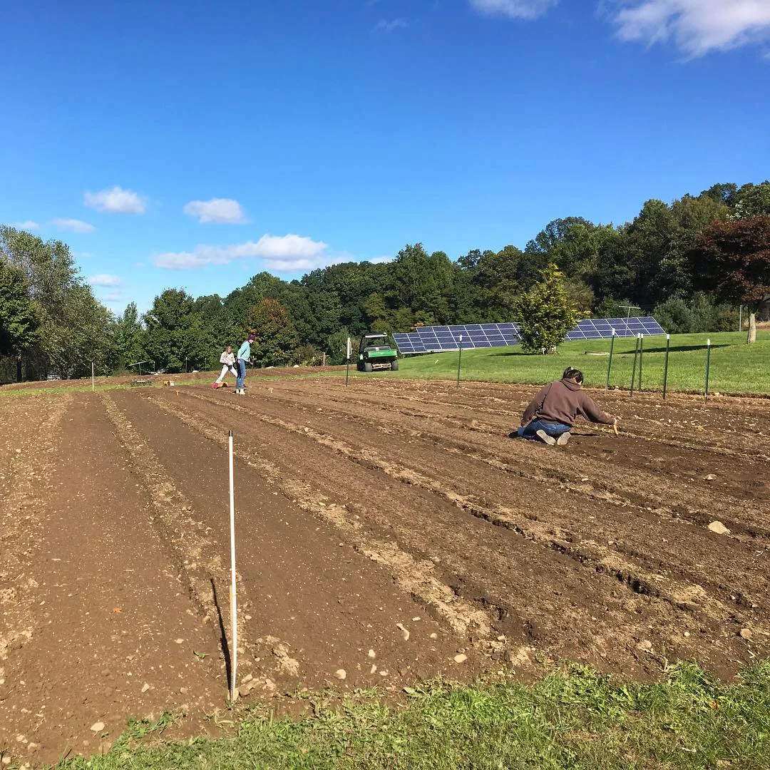 Dax Funderburk - Planting.JPG