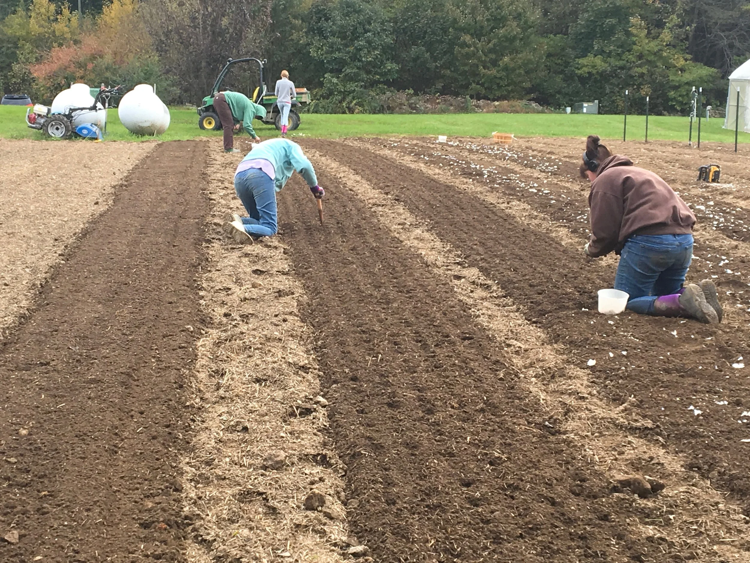 Dax Funderburk - Planting 2.JPG