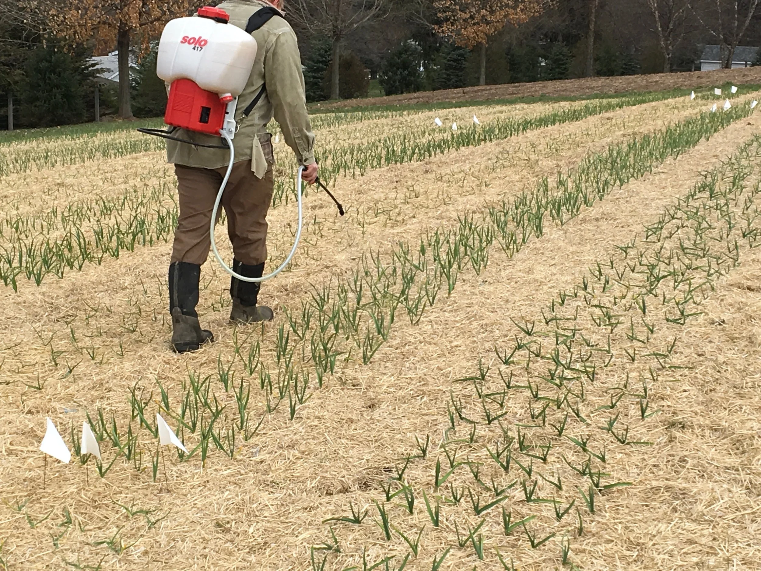 Dax Funderburk - Foliar Feeding .JPG