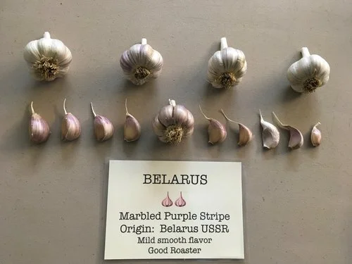 Belarus
