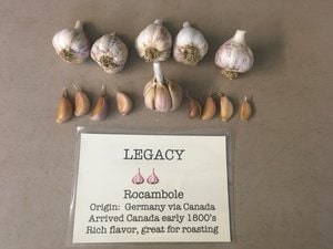 Legacy-min.jpg