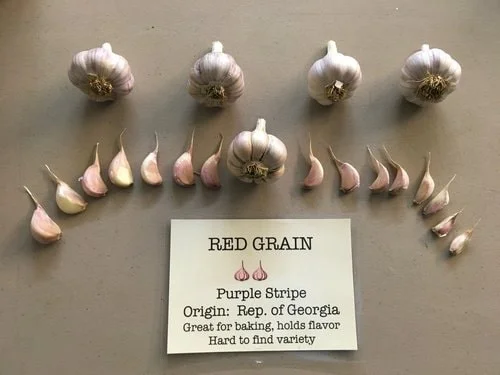 Red Grain-min.jpg