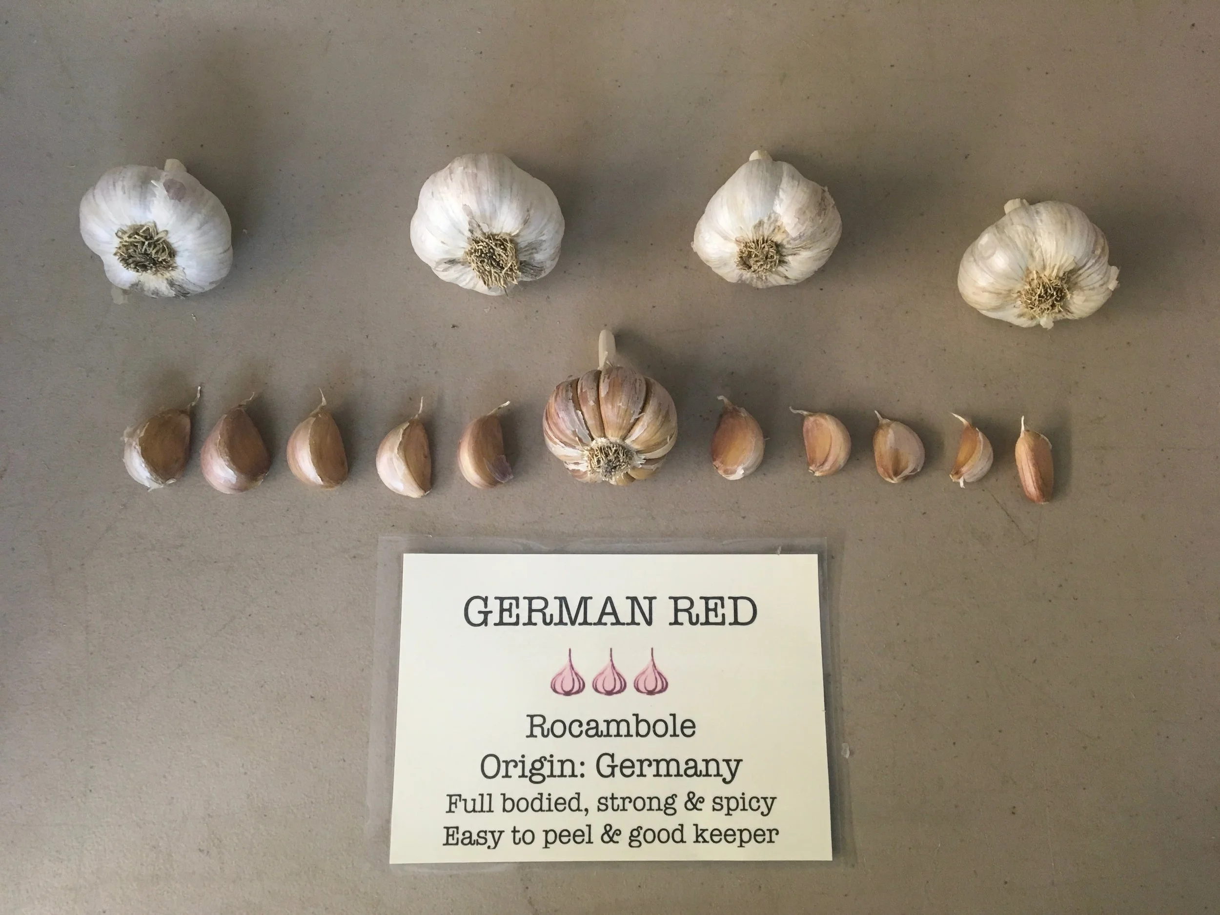 German Red-min.JPG