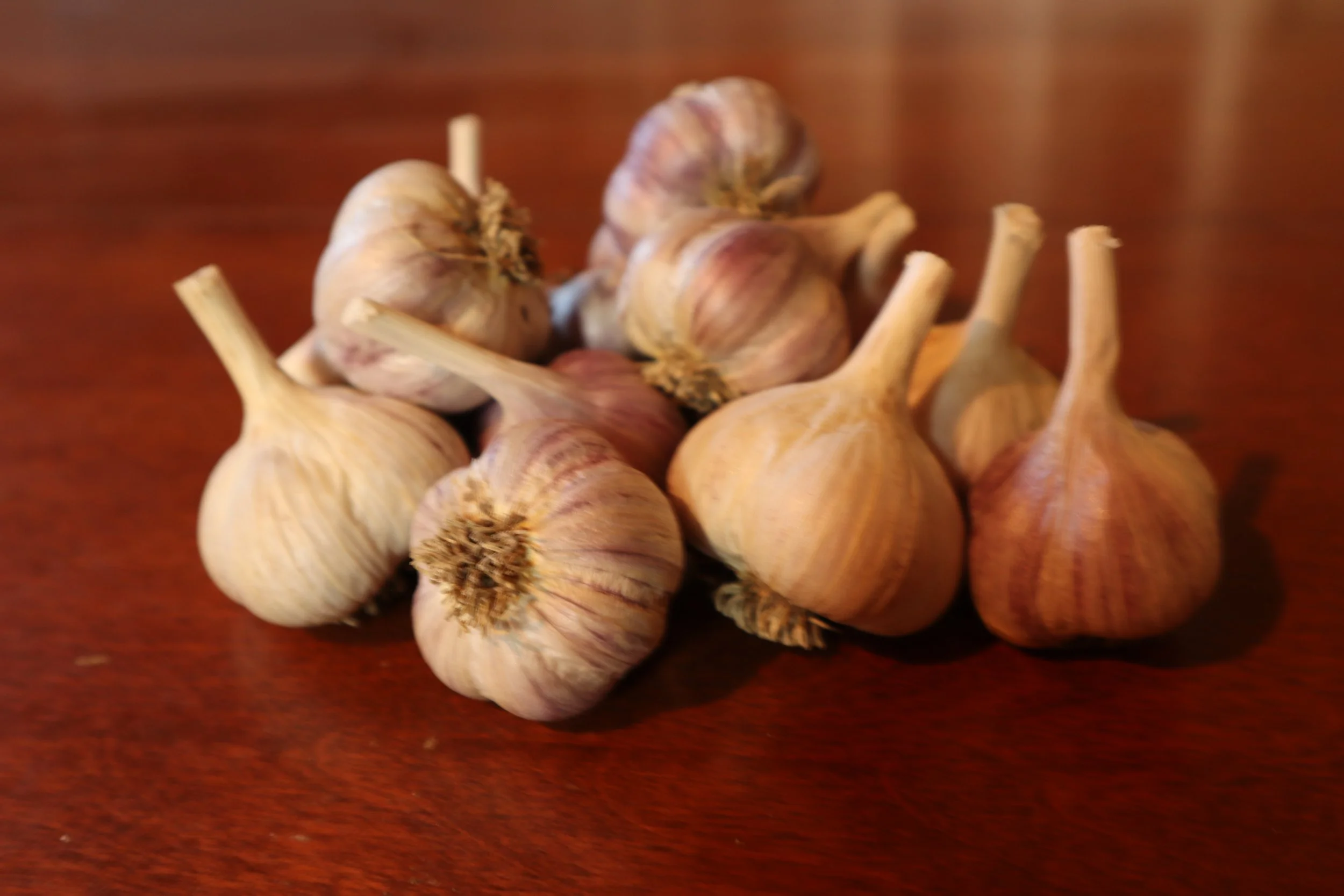 Phillips Bulbs 2021 .JPG