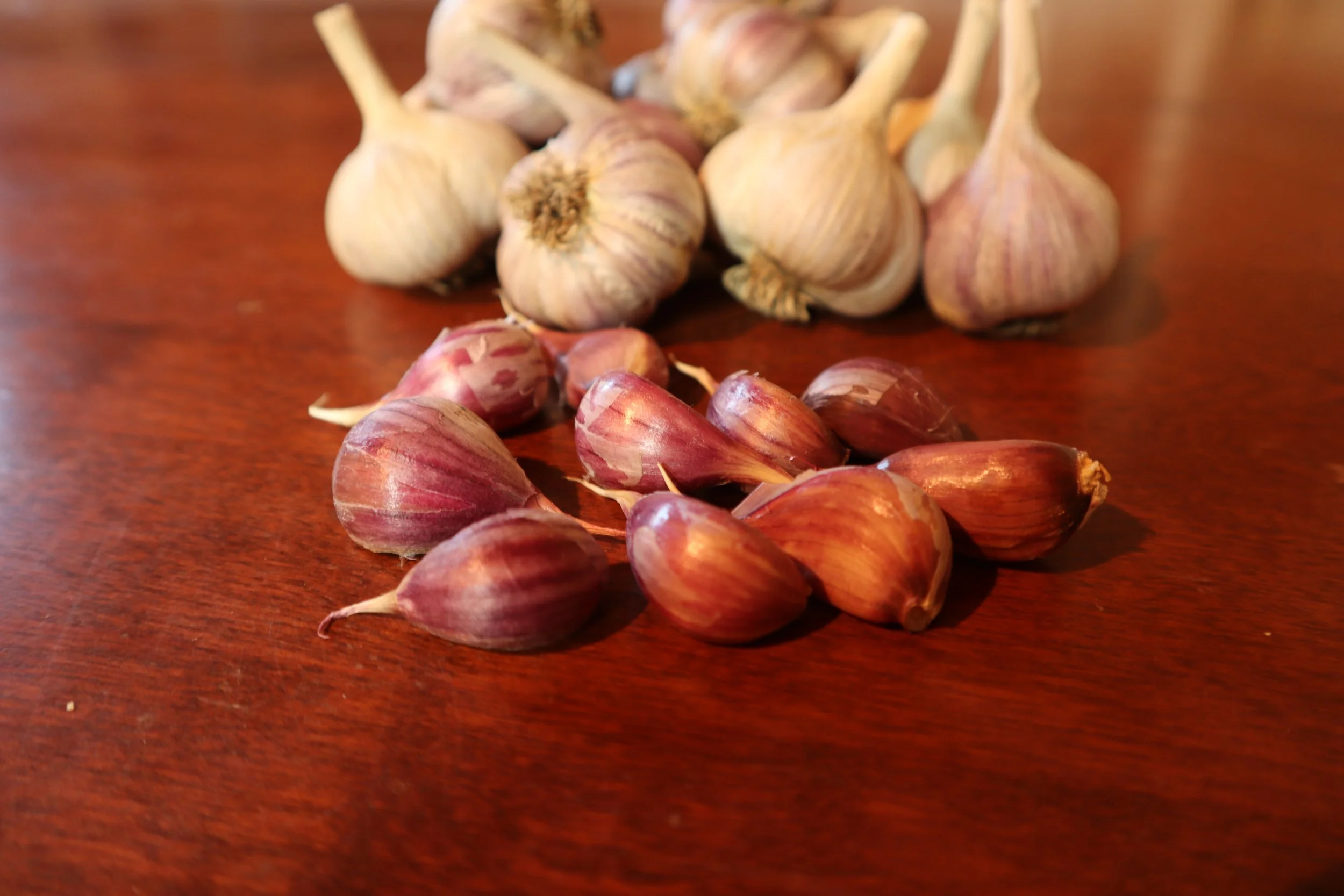 Phillips Cloves 2021.JPG