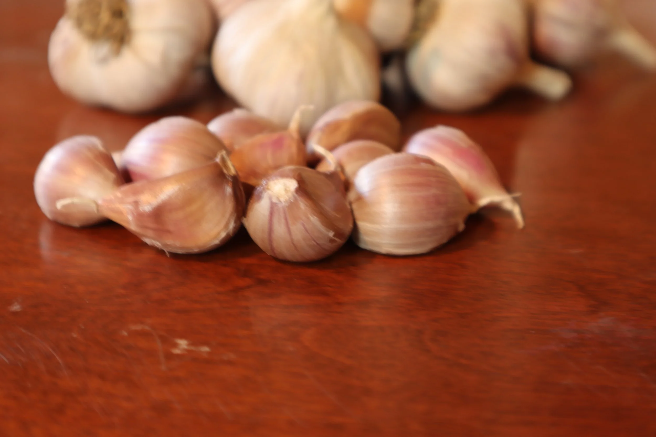 Bzenc Cloves 2021.JPG