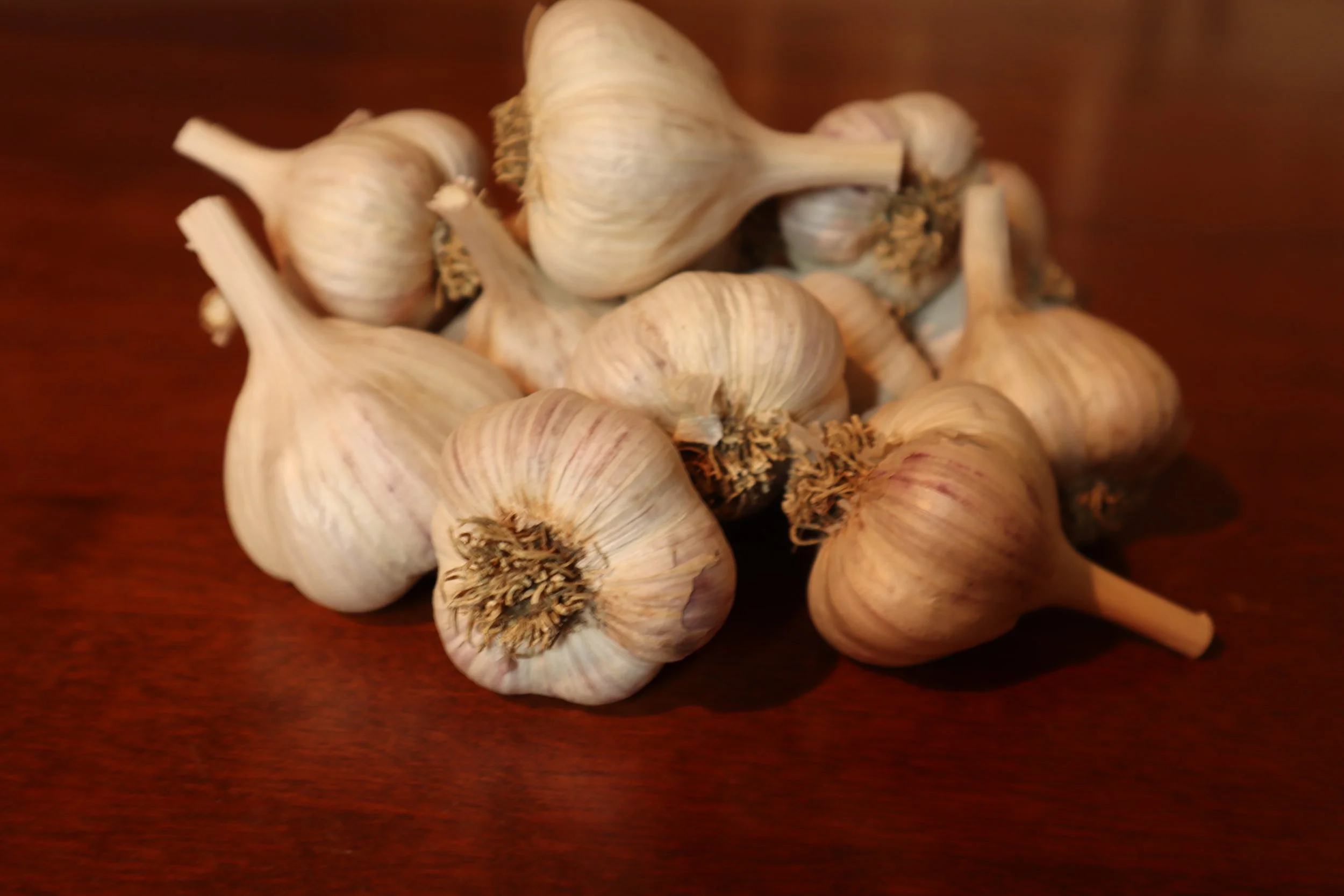 Pyongyang Bulbs 2021.JPG