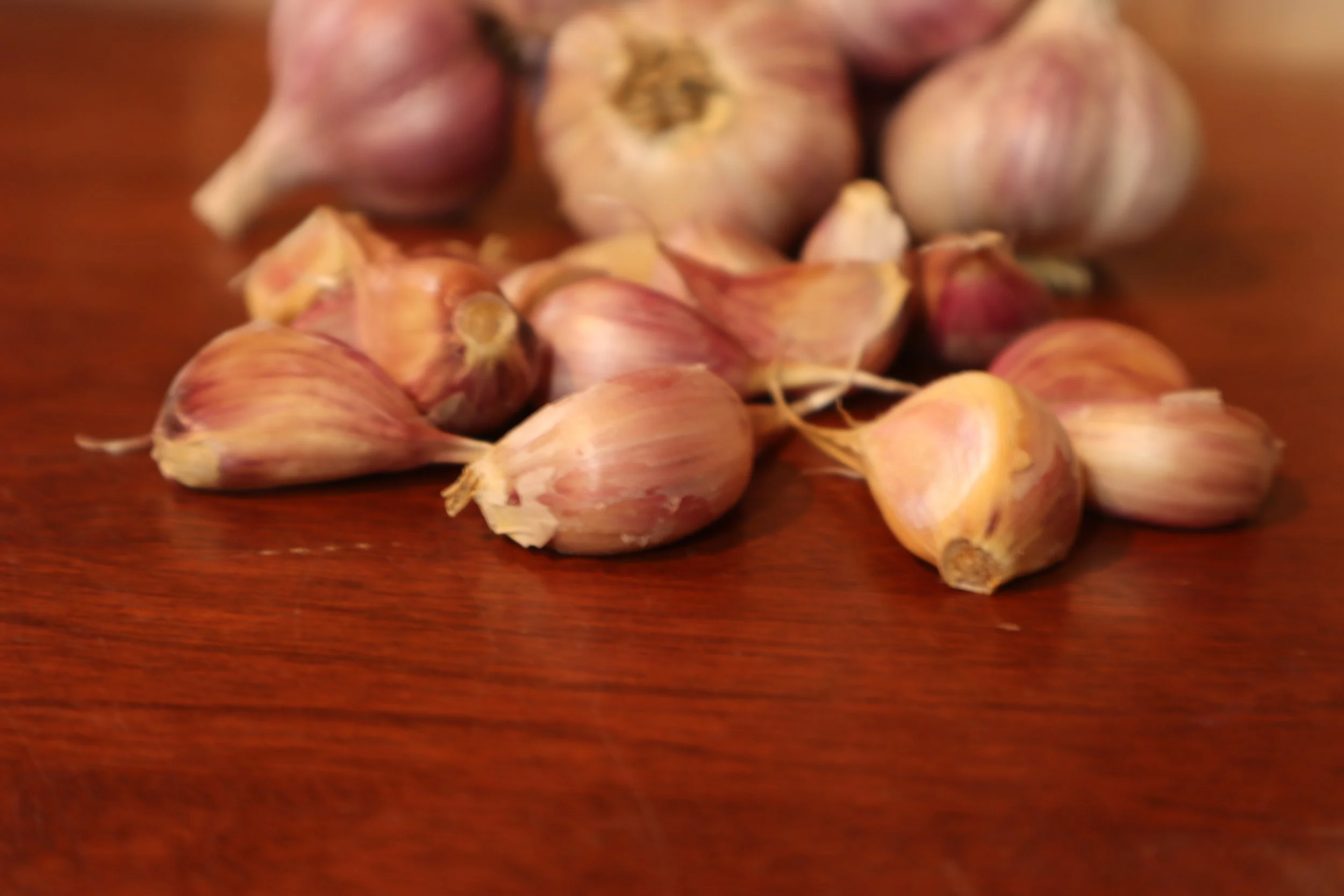 Duganski Cloves 2021 .JPG