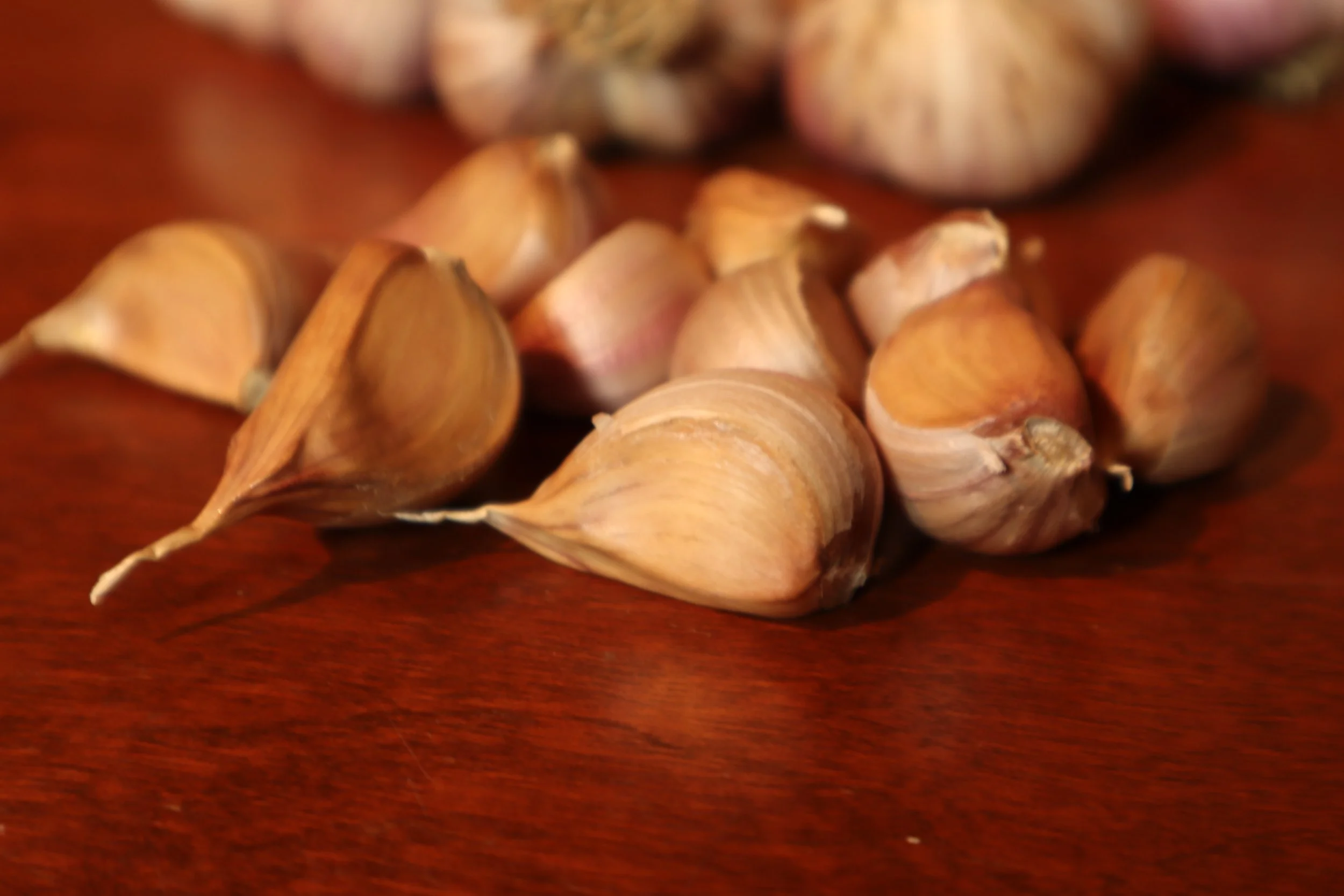 Russian Giant Cloves .JPG