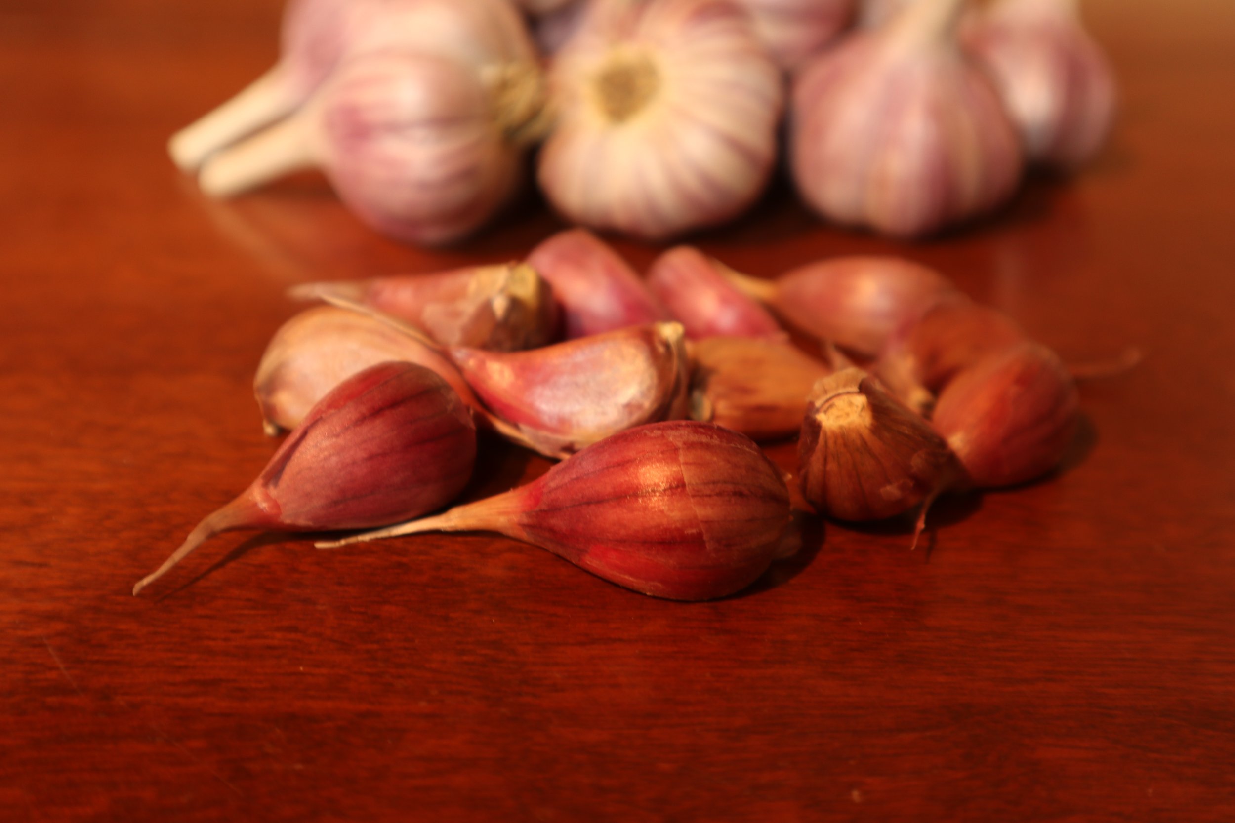 Tibet Cloves 2021 .JPG