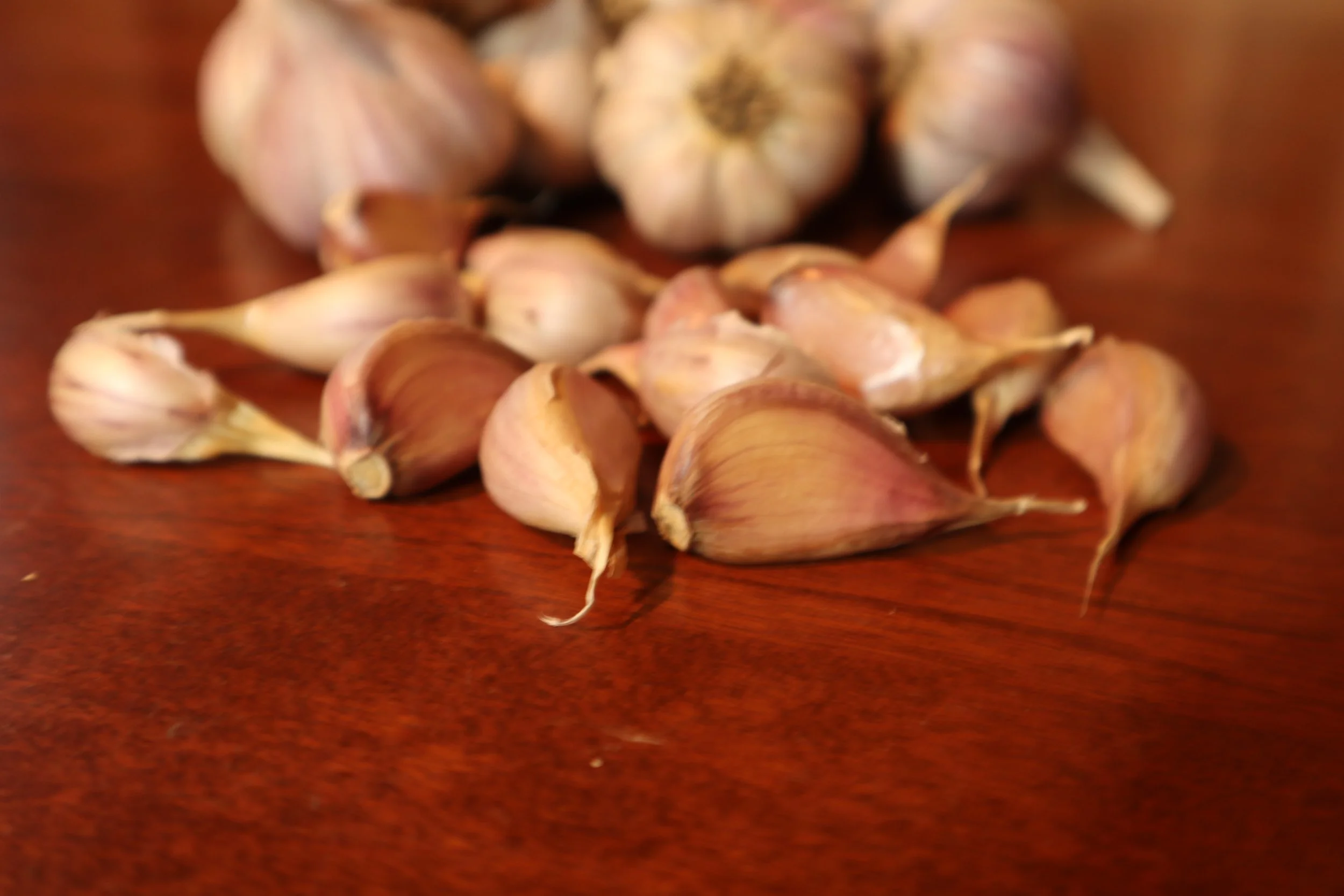 Turkish Cloves 2021 .JPG