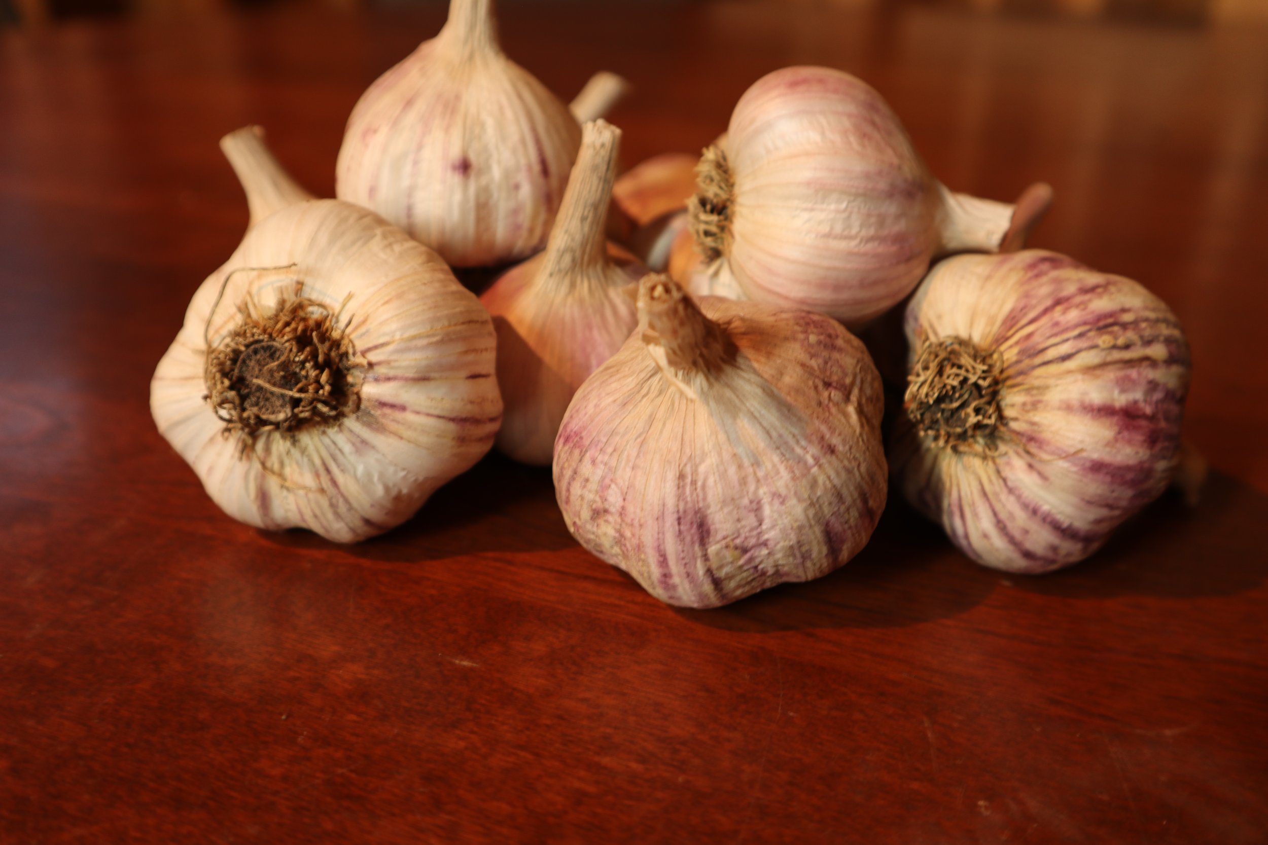 China Stripe Bulbs 2021 .JPG