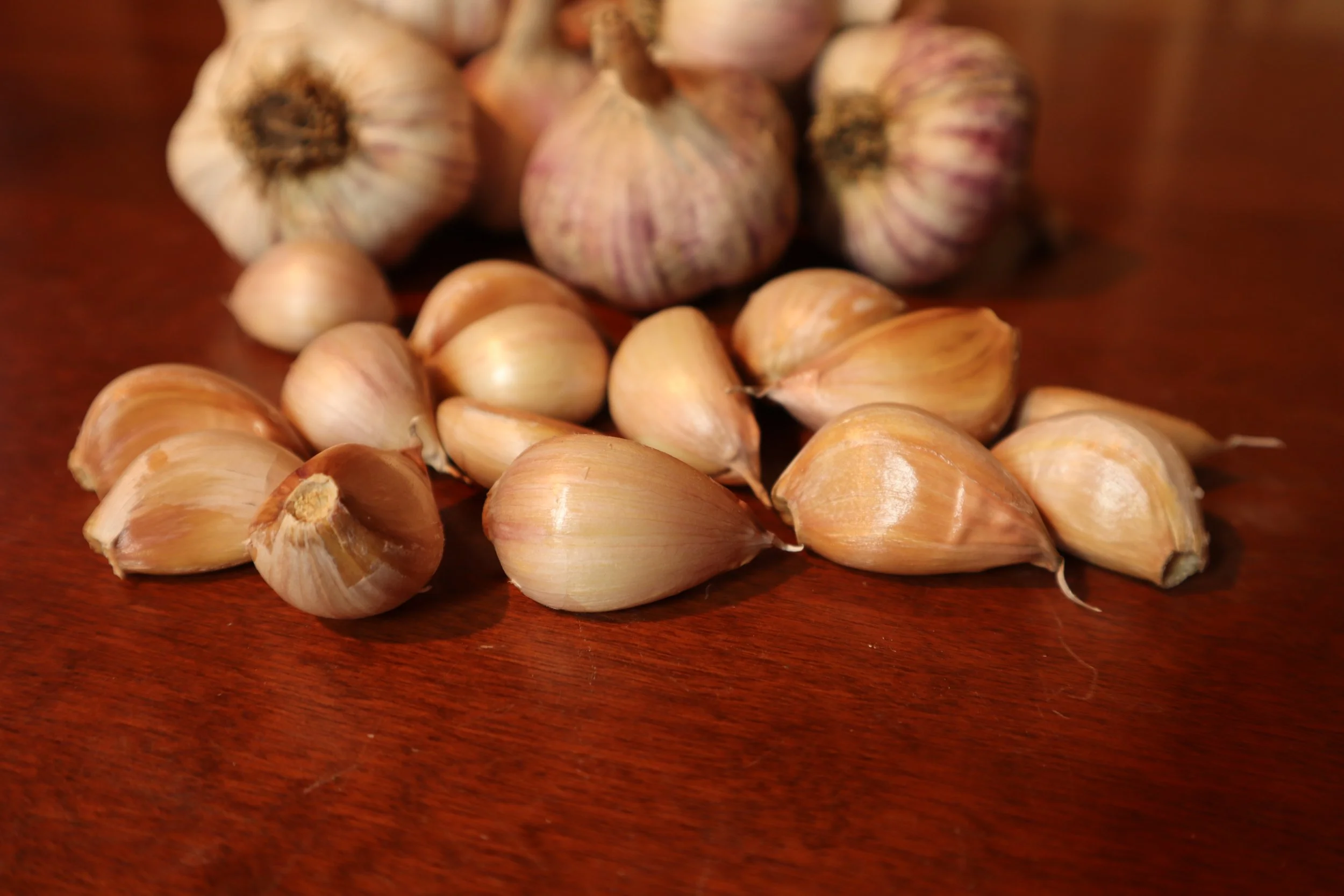 China Stripe Cloves 2021 .JPG