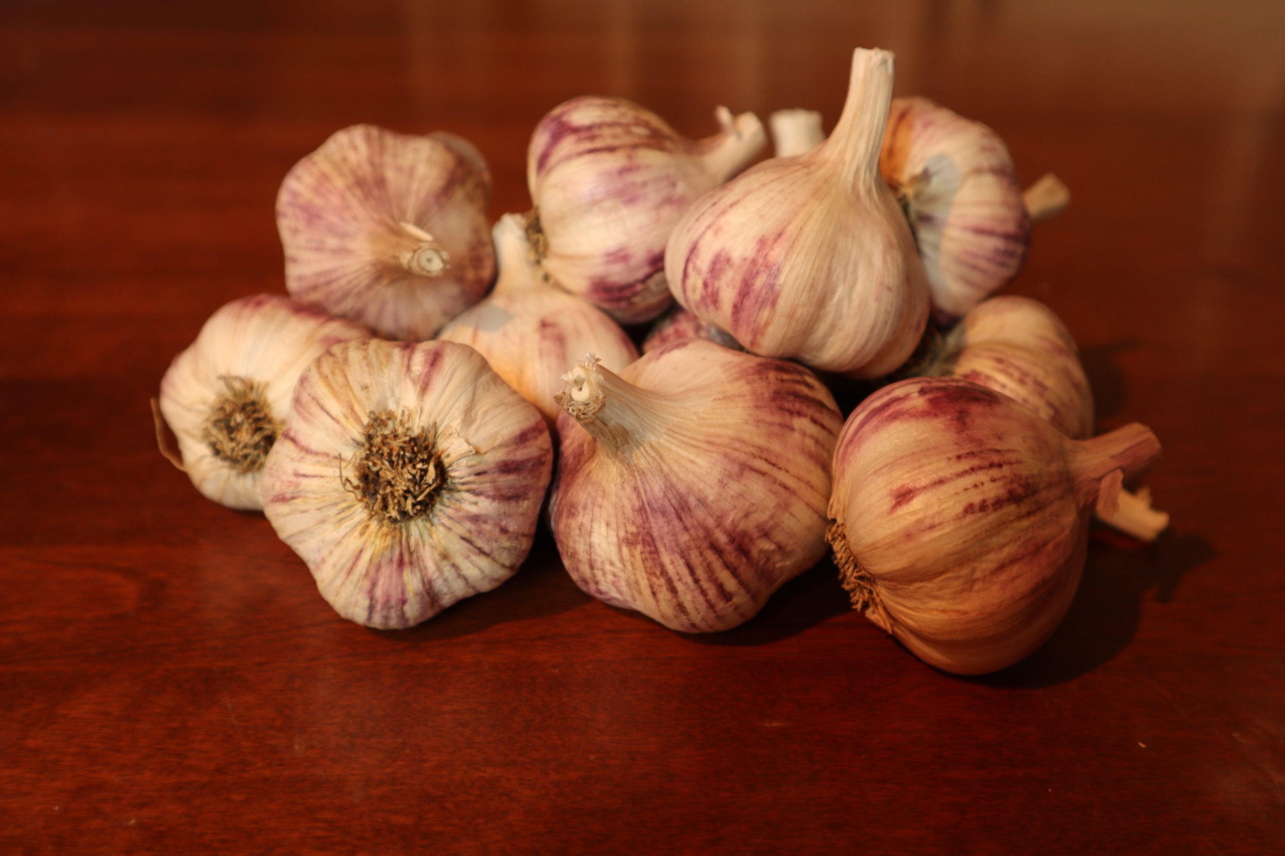 Lotus Bulbs 2021 .JPG