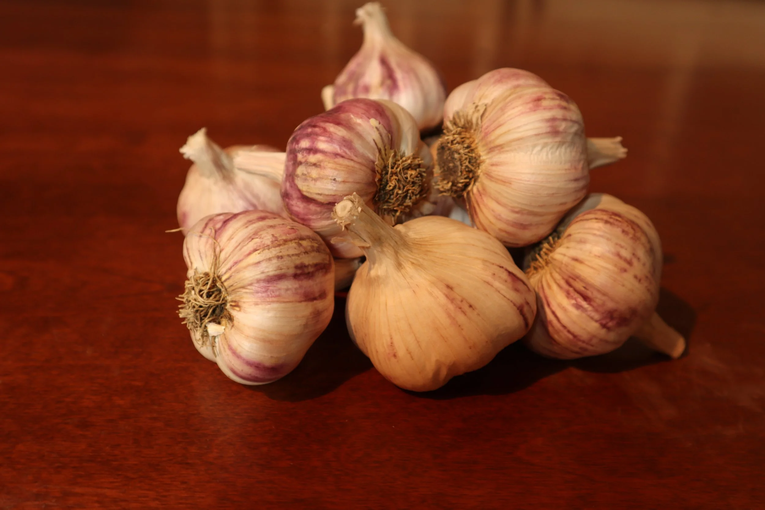 Tzan Bulbs 2021 .JPG