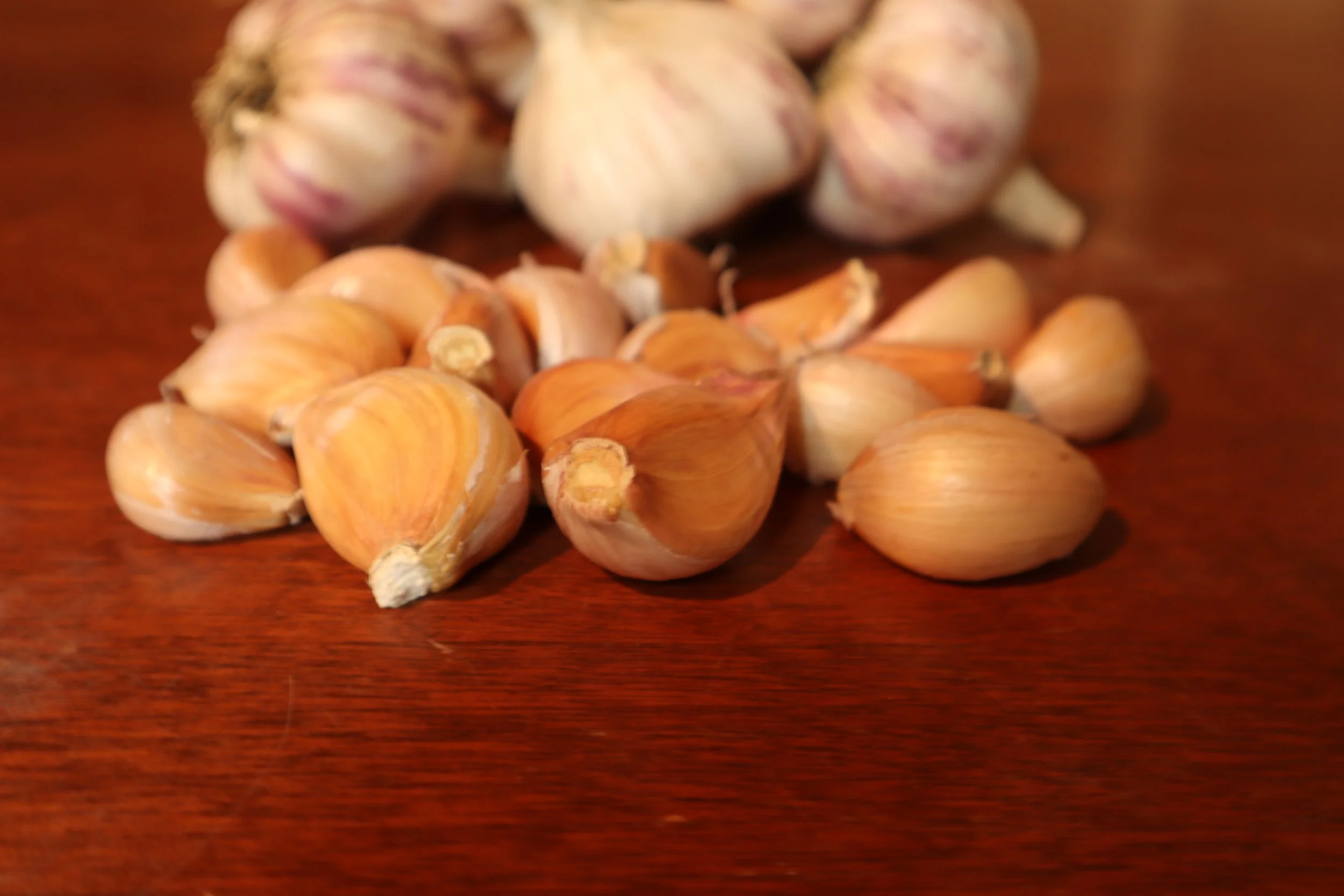 Tzan Cloves 2021 .JPG