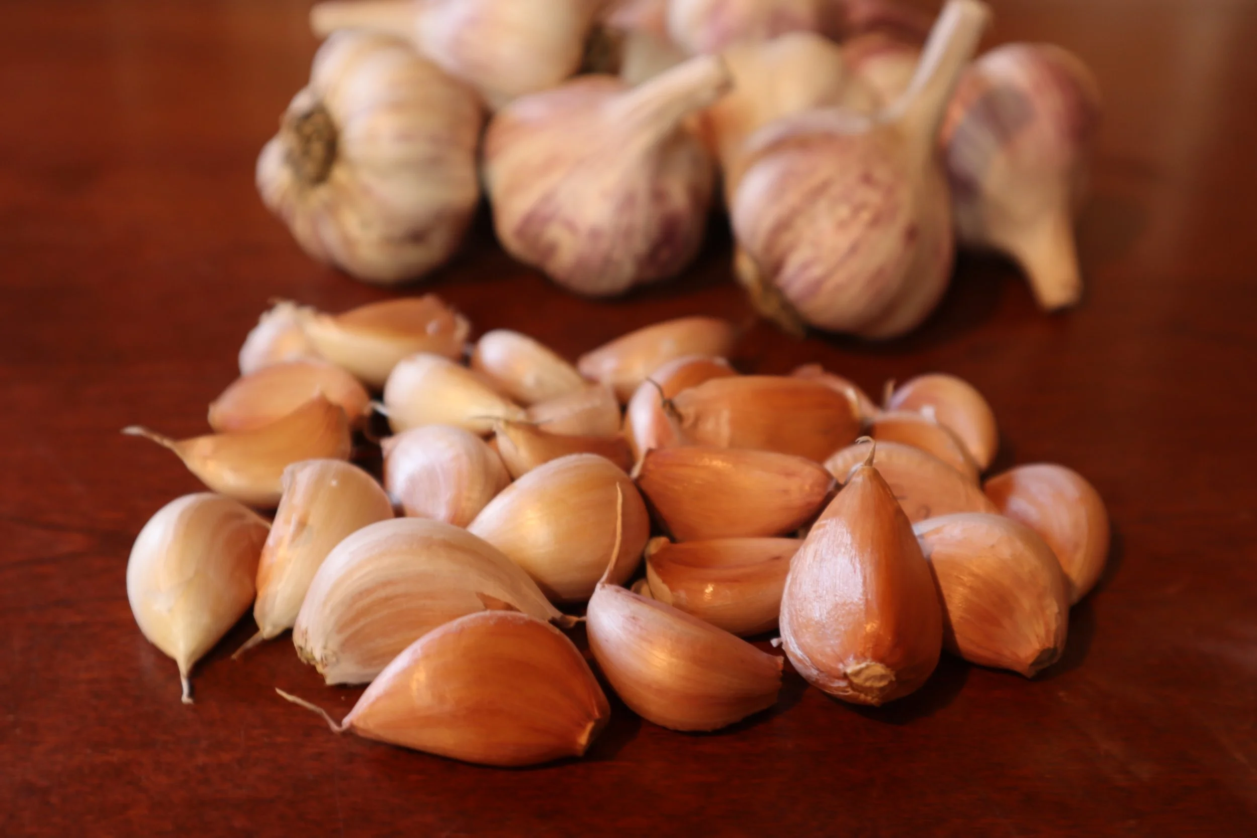 Early Port Cloves 2021.JPG