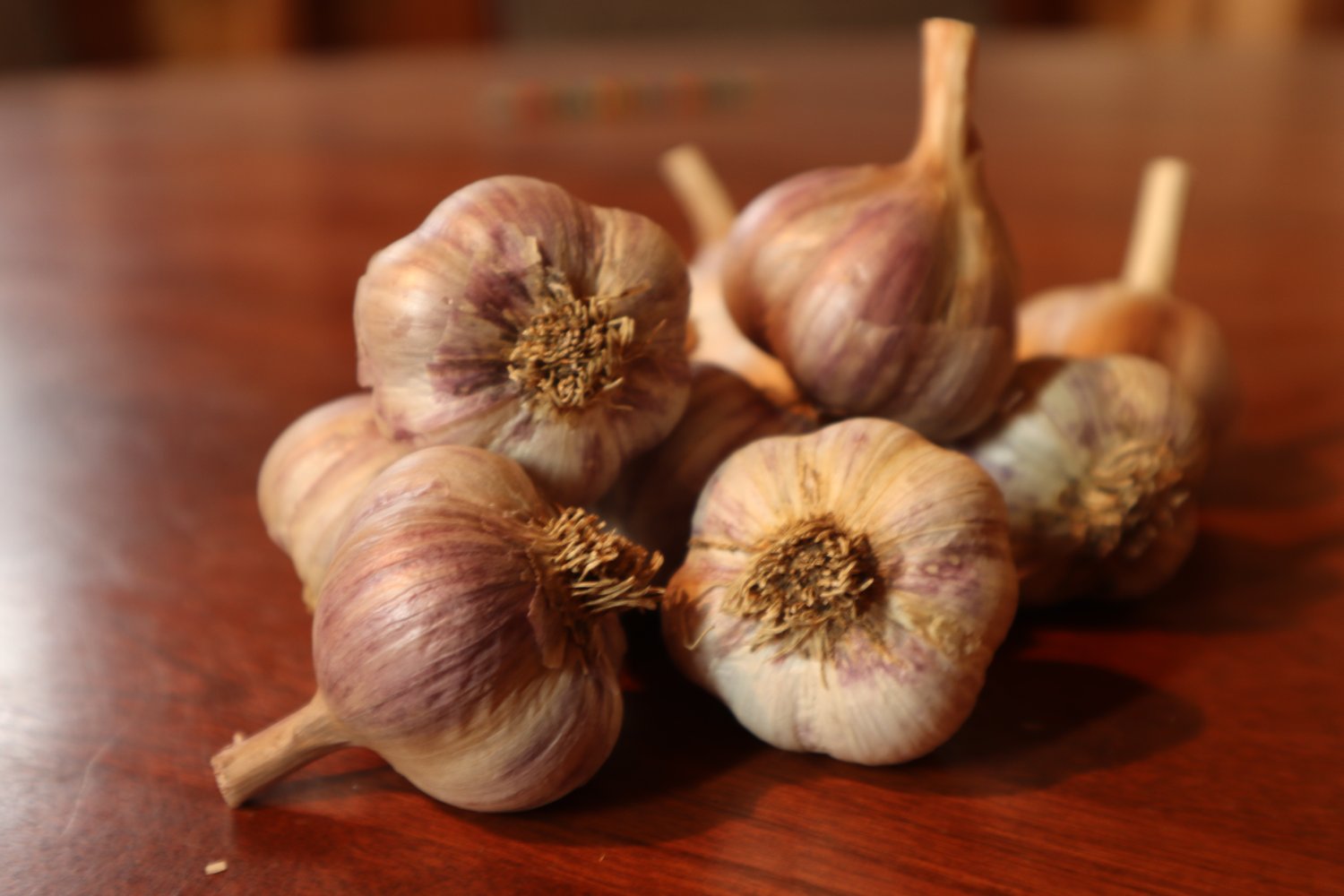 Garlic Bulb Stress Ball