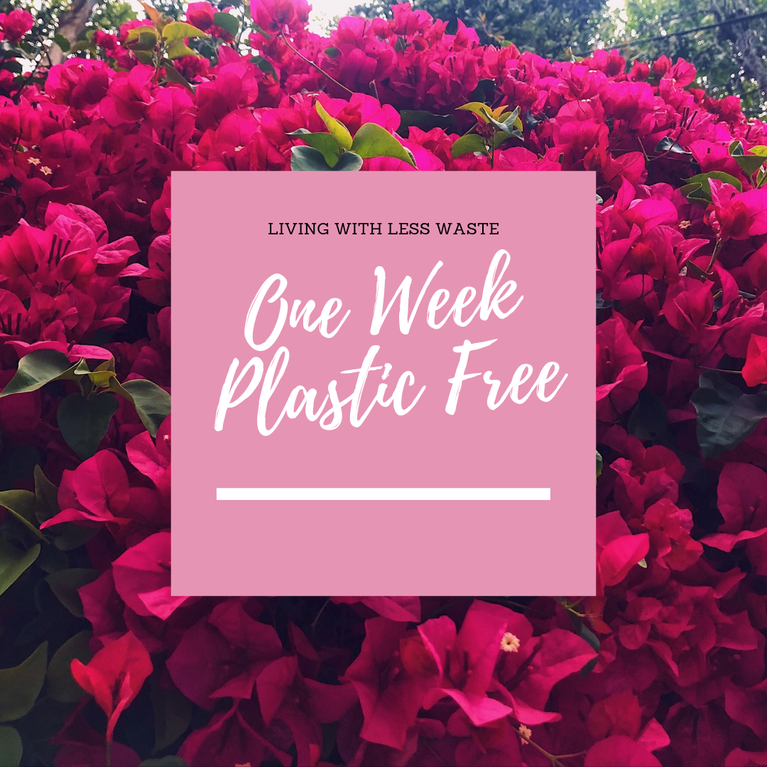 One Week Living (Mostly) Plastic Free