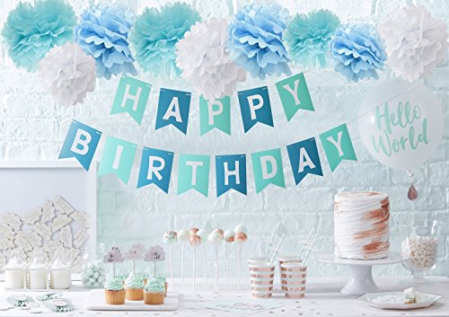 wcaro-blue-happy-birthday-bunting-banner-birthday-party-decorations-tissue-paper-pom-poms-baby-blue-__51NN2xkibHL.jpg