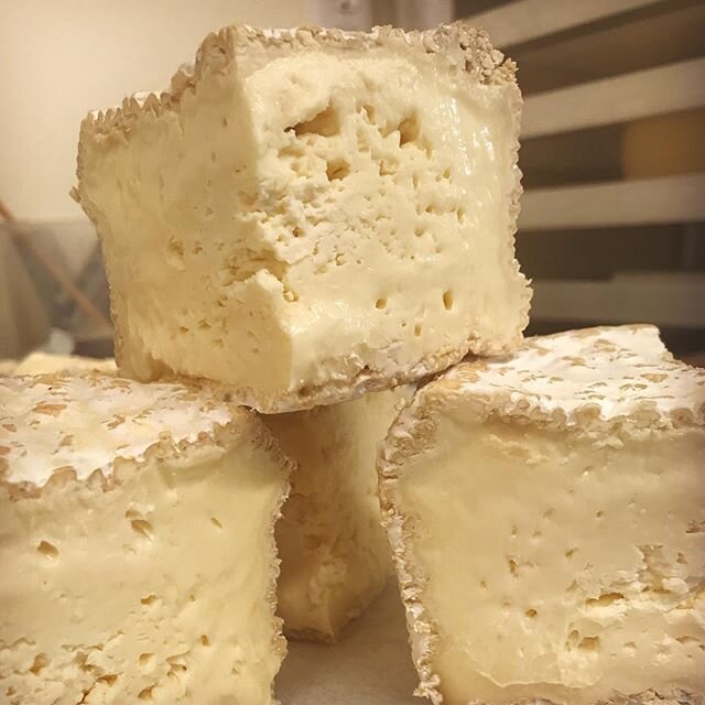 You know what your saturday needs? A wedge of creamy-on-the-edge, fudgy-in-the-middle Late Bloomer! Stop by @thevillagetc from 10-2 today for yours. #artisancheese #artisanalcheese #robiola #cheesemaker #cheesemakers #cheesemaking #cheeseplease #made